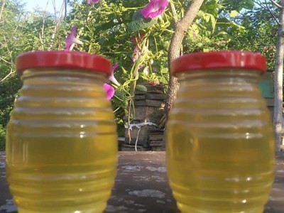 蜂农自产槐花蜜250g瓶装蜂蜜 瓶装槐花蜂蜜 批发  2瓶起批图2