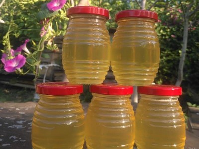 蜂农自产槐花蜜250g瓶装蜂蜜 瓶装槐花蜂蜜 批发  2瓶起批图5