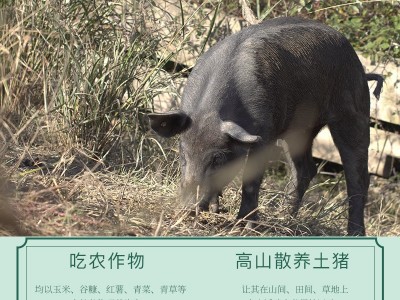 美缀美重庆城口老腊肉500g四川特产手工烟熏腊味风干腊货批发图2