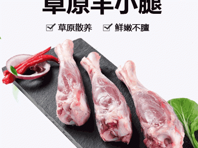 内蒙古草羔羊后棒10kg 冷冻羊肉羊棒骨 羊小腿火锅烧烤食材批发图1