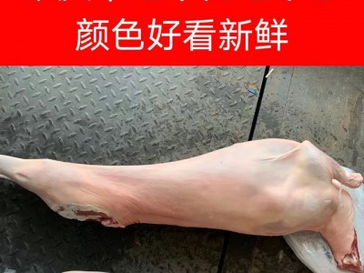 伟和祥内蒙古清真羔羊肉带皮羊排羊后腿新鲜冷冻生羊前腿羊肉块图4