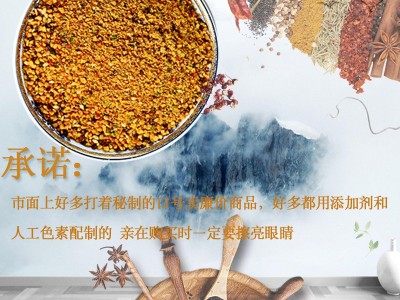 东北烧烤调料1050g/袋齐齐哈尔烤肉蘸料沾料铁板烧干料韩式烤肉料图2