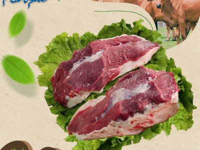 鑫海 牛腿肉 牛肉 鲜肉 每日屠宰 牛腩 量大送货上门图5