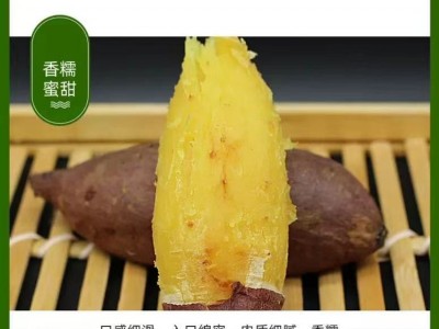 日本玛莎莉红薯高端品种红皮黄肉现挖现卖老少皆宜图3