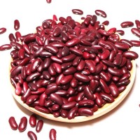 红芸豆 英国红 大红豆 红腰豆红花豆磨豆浆 常年供应