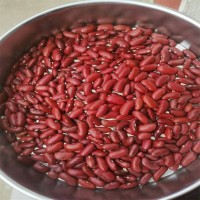 小方红芸豆图片 英国红价格 山西批发厂家常年供应