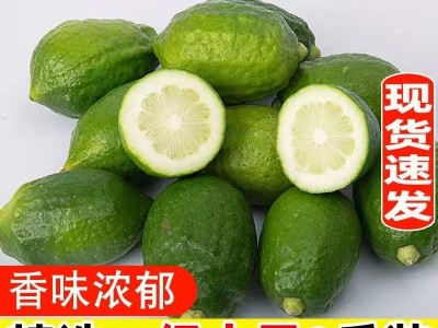 批发广东无籽香水柠檬热带水果奶茶店柠檬茶专用10斤整箱一件代发图2