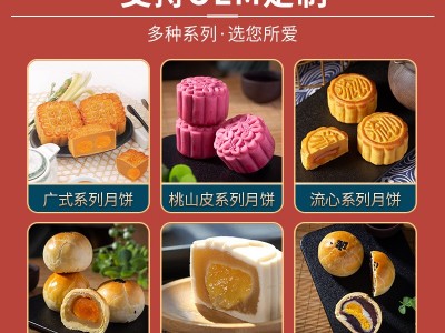 广式月饼批发 东莞厂家金腿五仁月饼 中秋节日礼品礼盒 传统糕点图3