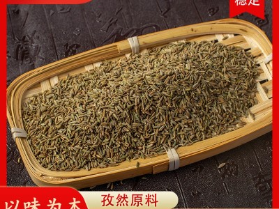 散装孜然粒烧烤调味料孜然碎调味粉牛羊肉串撒料蘸料腌料孜然粉图2