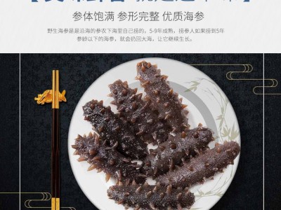 禾夕堂 即食ABC类 大连即食海参500g鲜活辽参刺参礼盒特价批发图3