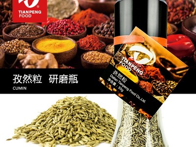 【天鹏 孜然粒30g】大颗粒孜然研磨瓶装 草本烧烤腌制调料图2