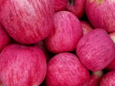 陕西洛川红富士苹果脆甜多汁新鲜水果一件整箱批发75#5斤装图4