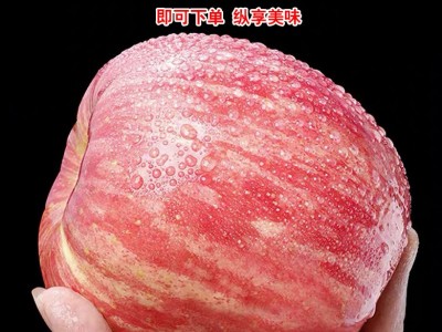 洛川苹果供应链 一件代发 美域高苹果 净重8.5斤大果图1