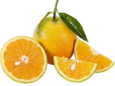 新鲜夏橙湖北秭归脐橙应季水果产地现摘现发非血橙非赣南一件代发图5