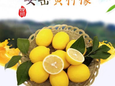 四川安岳柠檬批发新鲜多汁黄柠檬亮袋微瑕疵果产地直发一件代发图1