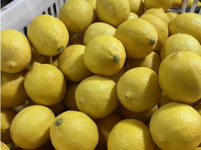 四川安岳柠檬批发新鲜多汁黄柠檬亮袋微瑕疵果产地直发一件代发图2