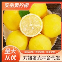 安岳黄柠檬新鲜水果批发一二级精品柠檬多规格产地直发