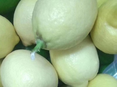 安岳黄柠檬新鲜水果批发一二级精品柠檬多规格产地直发图4