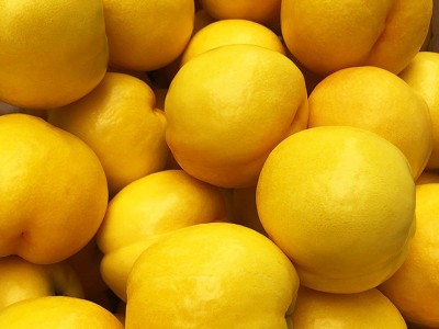 黄桃黄金油桃平谷新鲜水果整斤批发应季红油桃2两/个脆甜黄油桃子图2