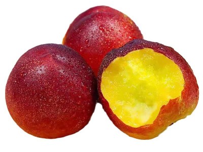 黄桃黄金油桃平谷新鲜水果整斤批发应季红油桃2两/个脆甜黄油桃子图5