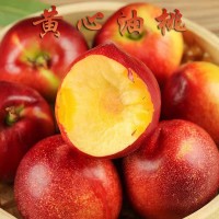 陕西红皮黄心油桃应季大桃子新鲜水果红油桃非水蜜桃批发一件代发