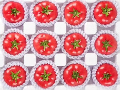 普罗旺斯西红柿新鲜自然熟番茄水果沙瓤蔬菜顺丰整箱批发一件代发图4