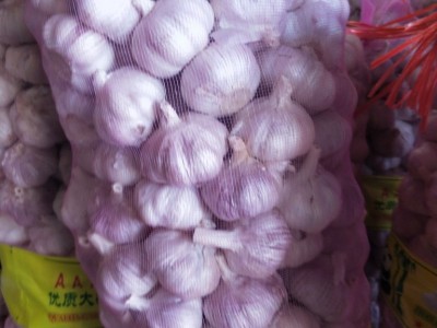 供应金乡太空蒜种，蒜子，紫皮蒜子，白皮蒜子图1